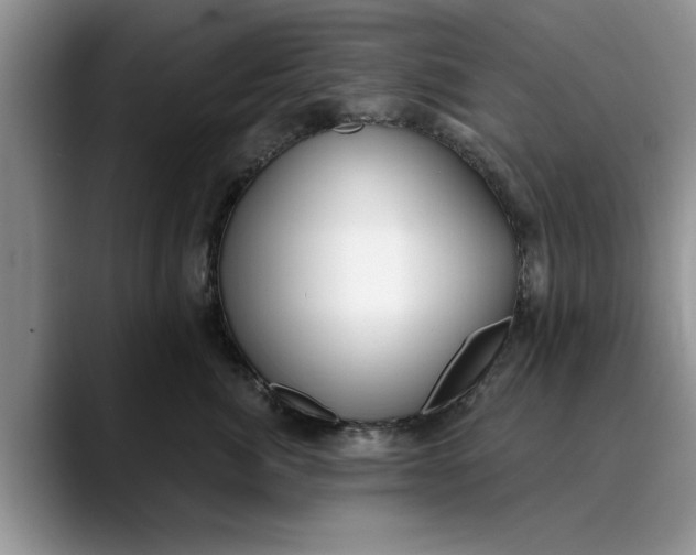 X0000089900764200707192032