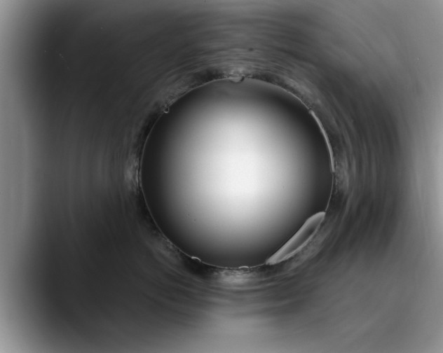 X0000089900766200707192033