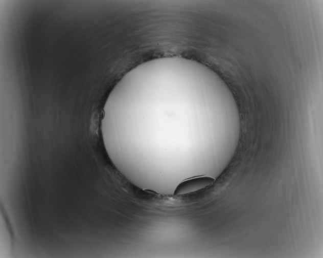 X0000089900768200707192033