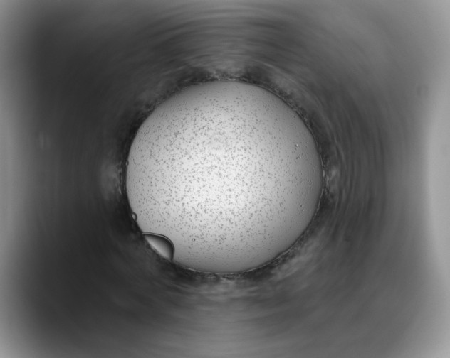 X0000089900772200707192032