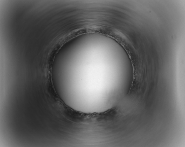 X0000089900773200707192032