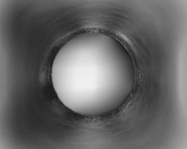 X0000089900775200707192032