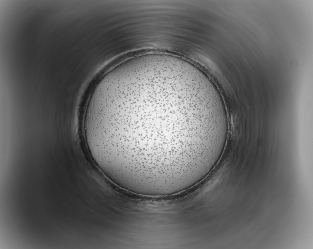X0000089900780200707192032