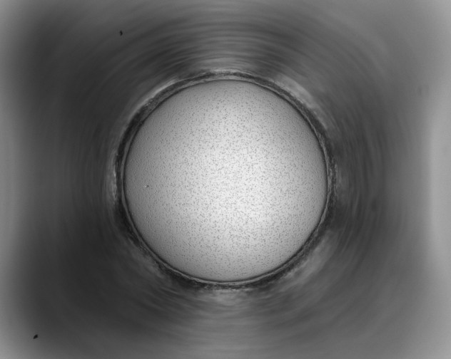 X0000089900782200707192032