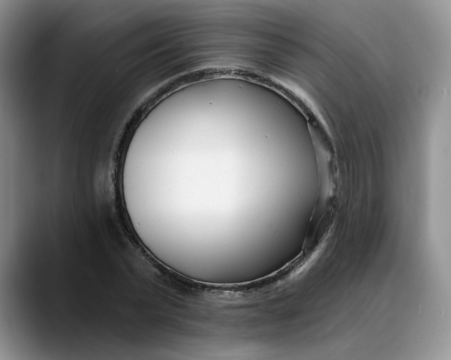X0000089900783200707192032