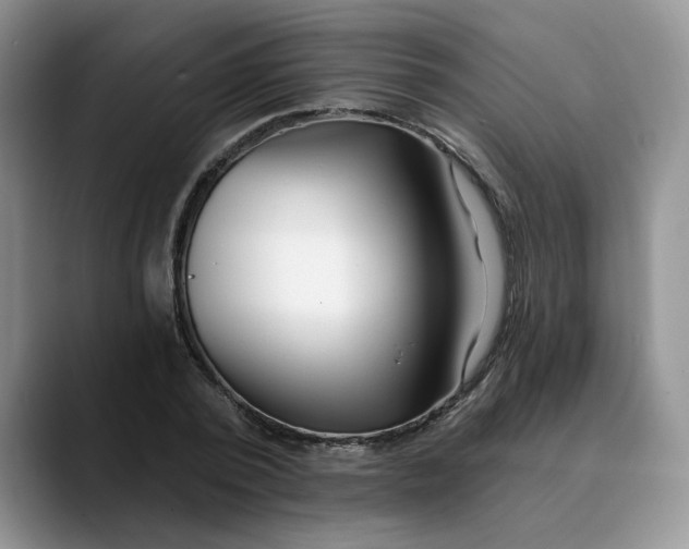 X0000089900784200707192032