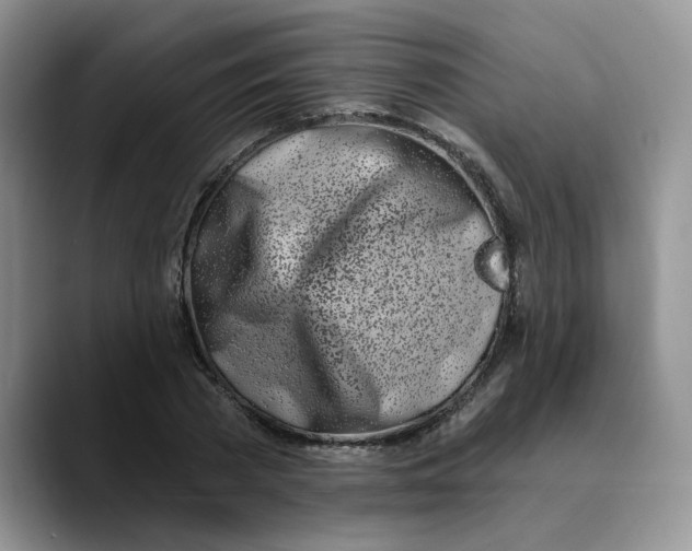 X0000089900785200707192032