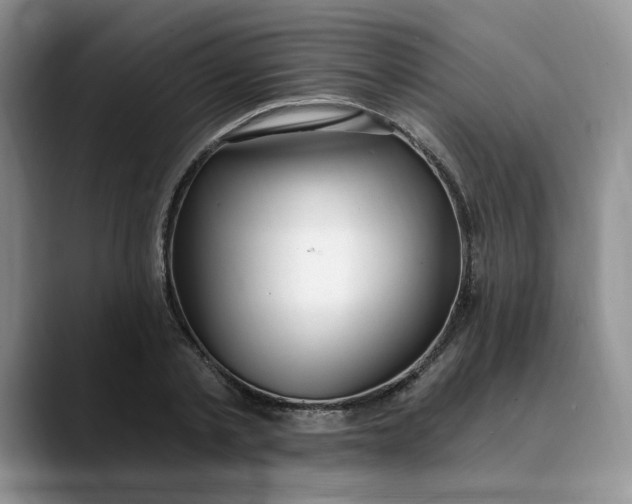 X0000089900789200707192032