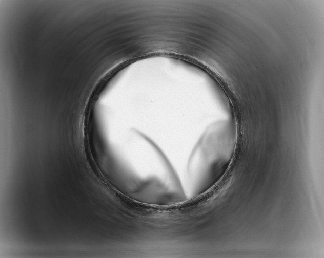 X0000089900790200707192032