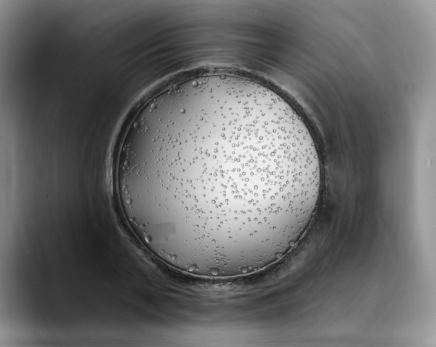 X0000089900791200707192032