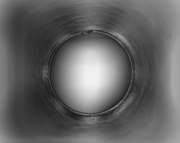 X0000089900793200707192032