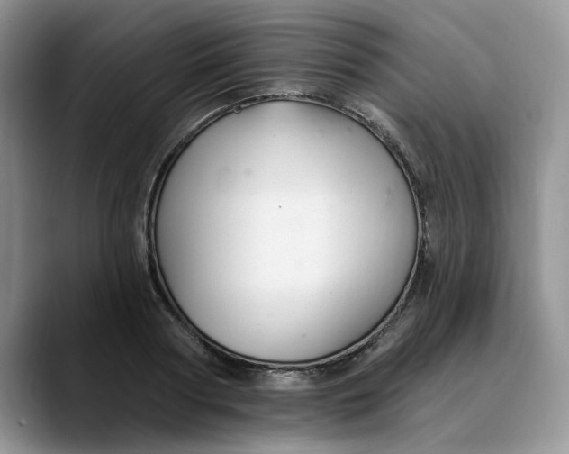 X0000089900794200707192032