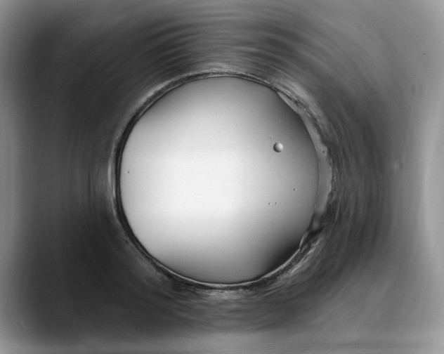 X0000089900796200707192032