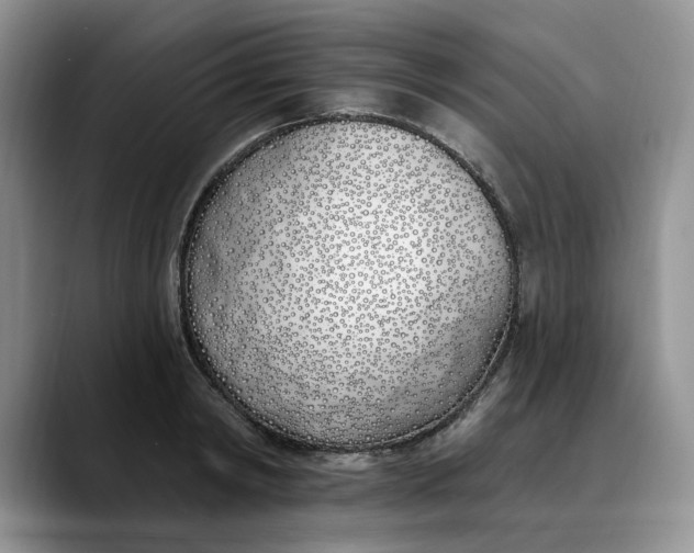 X0000089900798200707192032