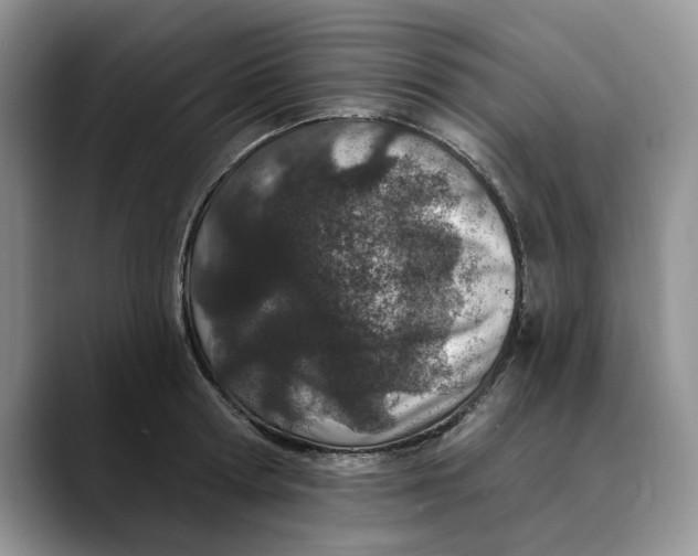 X0000089900802200707192032