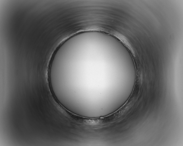 X0000089900805200707192032