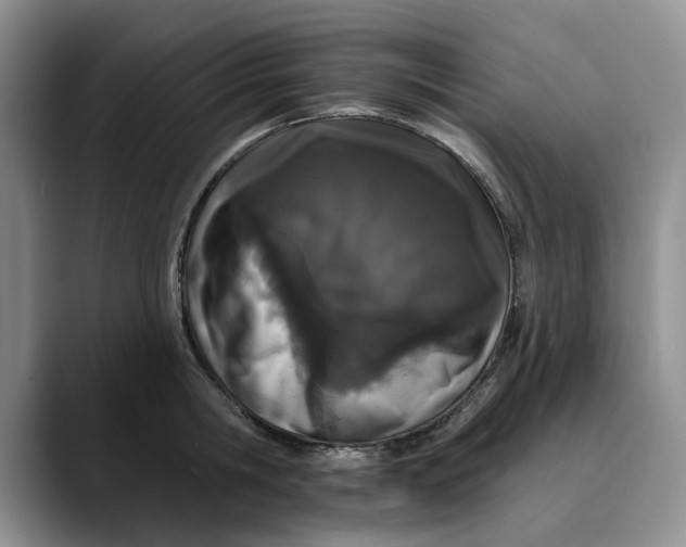 X0000089900806200707192032