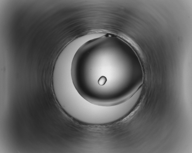X0000089900809200707192031