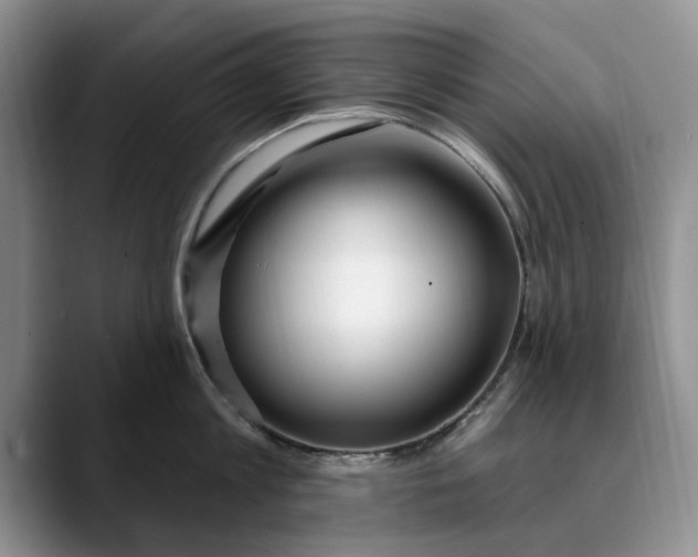 X0000089900813200707192031