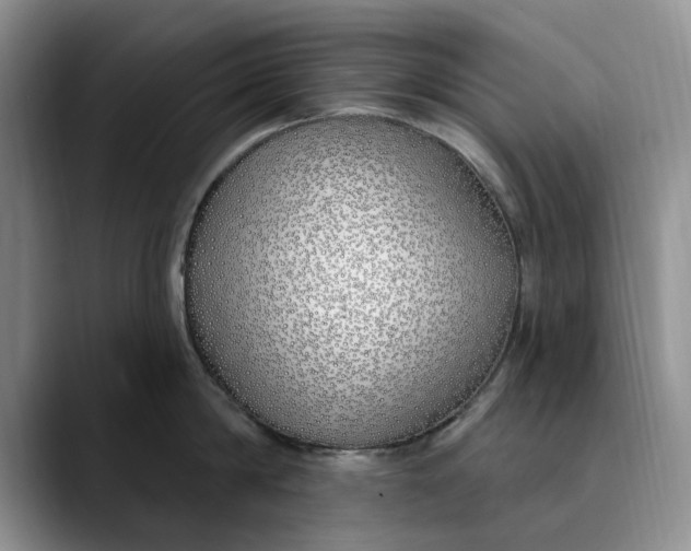 X0000089900814200707192031