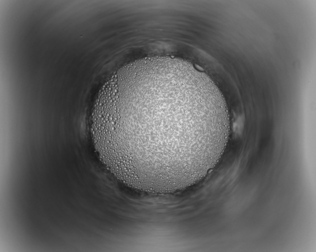 X0000089900819200707192031