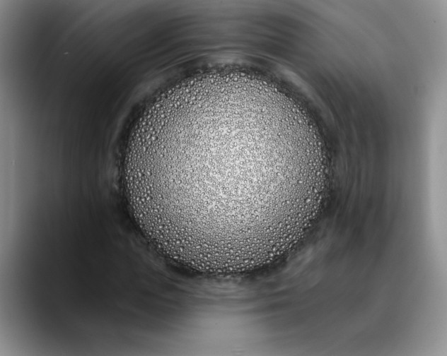 X0000089900823200707192031
