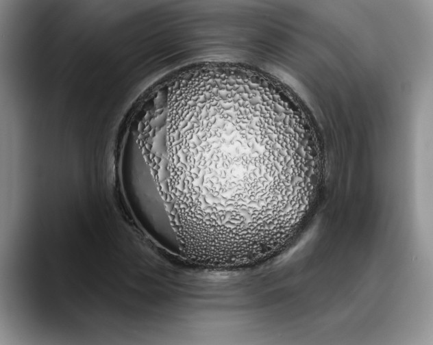 X0000089900829200707192031