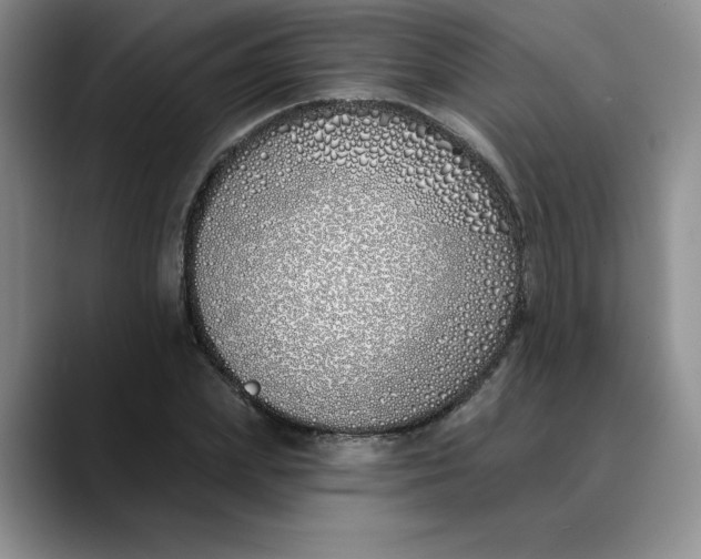 X0000089900831200707192031