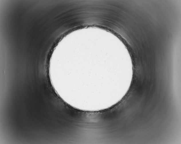 X0000089900832200707192031