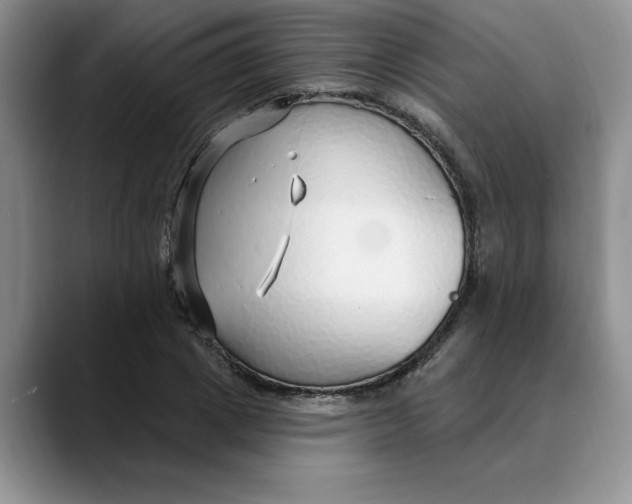 X0000089900833200707192031