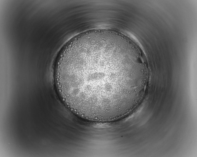 X0000089900835200707192031