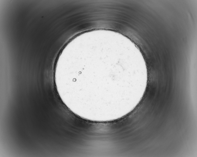 X0000089900836200707192031