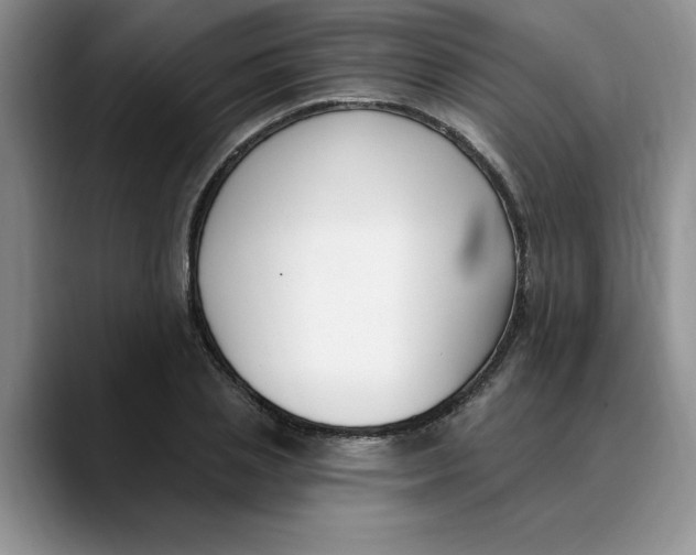X0000089900837200707192031