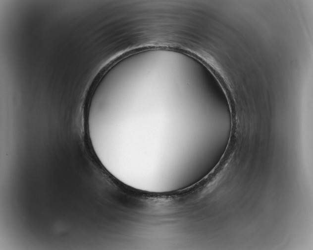 X0000089900838200707192031