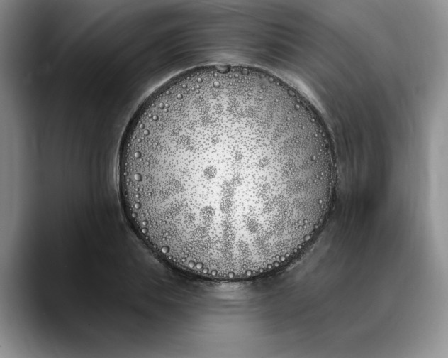 X0000089900839200707192031