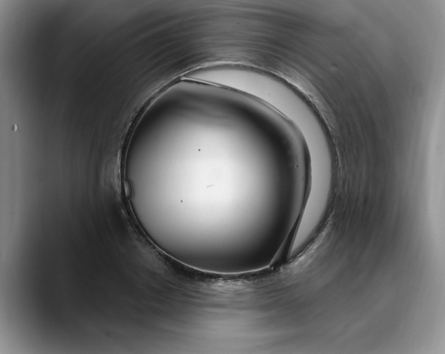 X0000089900842200707192031