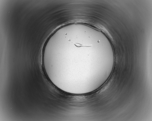 X0000089900844200707192031