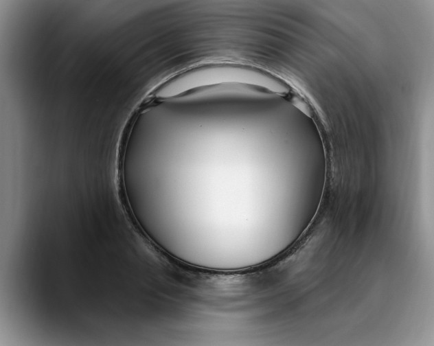 X0000089900845200707192031