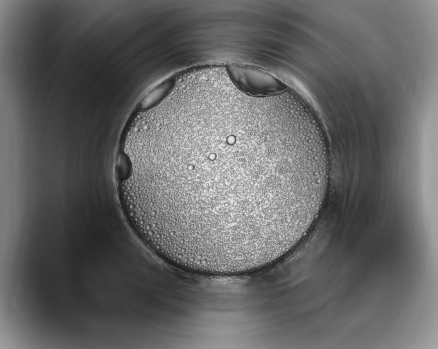X0000089900847200707192031