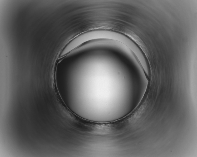 X0000089900850200707192031