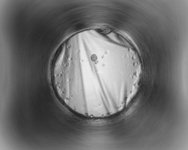 X0000089900851200707192031