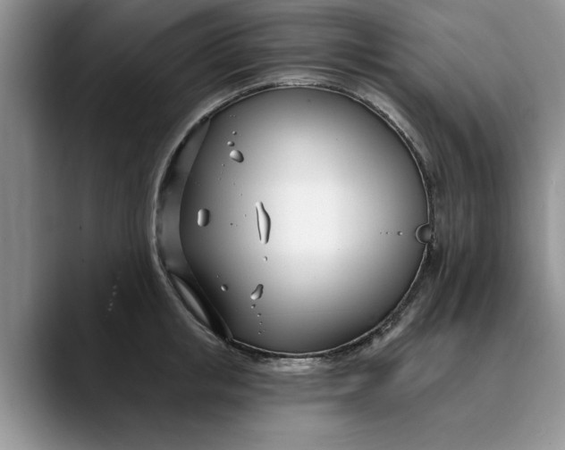 X0000089900853200707192031