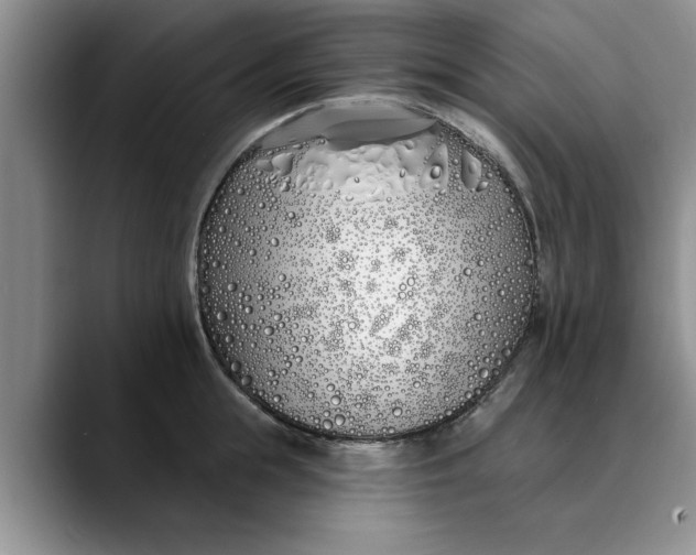 X0000089900855200707192031