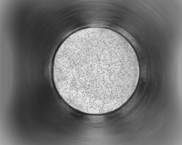 X0000089900856200707192031