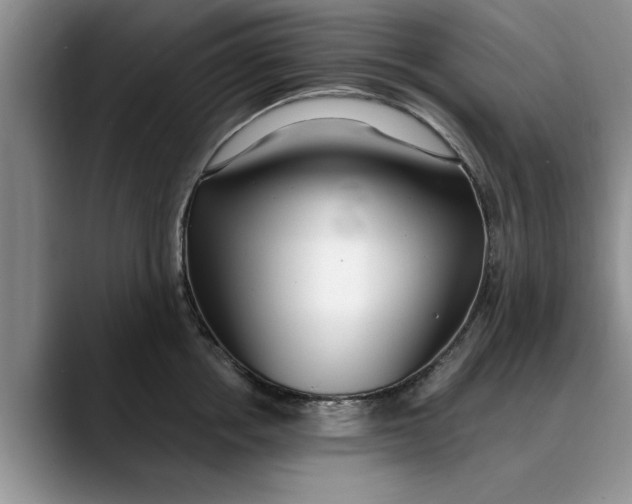 X0000089900858200707192031