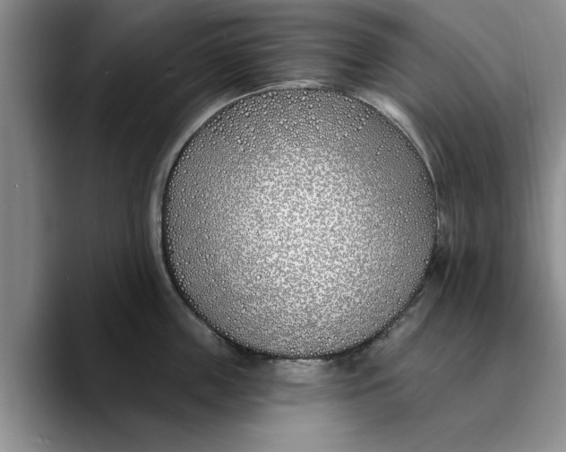 X0000089900859200707192031