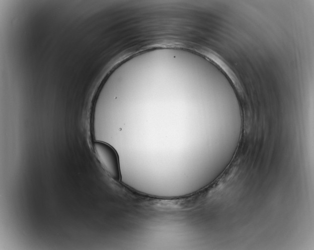 X0000089900861200707192031