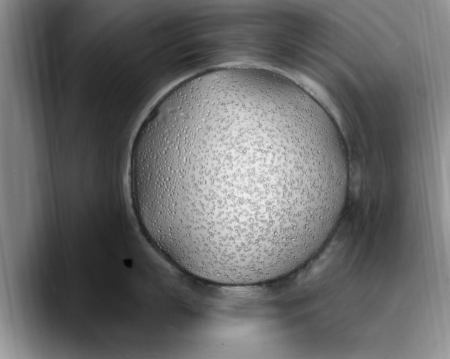 X0000089900863200707192031