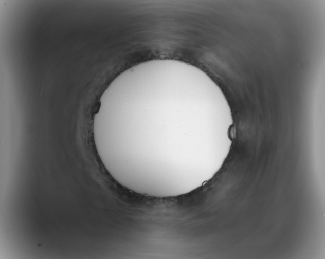 X0000089900865200707192031
