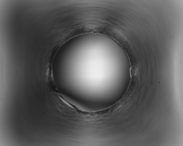 X0000089900868200707192031